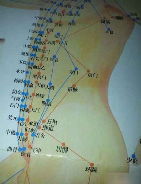 4,胆经:胆经在大腿外侧,左右腿都有的,外侧就是我们说的裤线那里