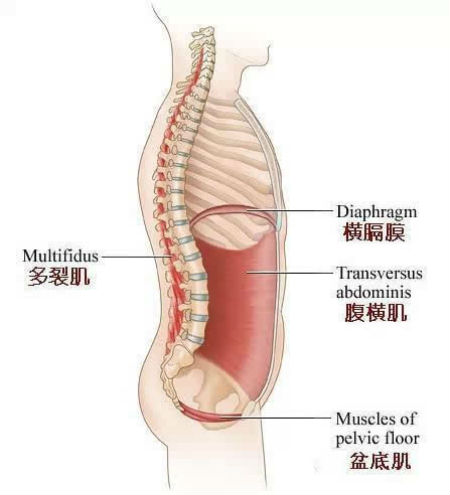 腰痛3